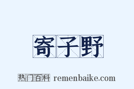 寄子野是什么意思的图片